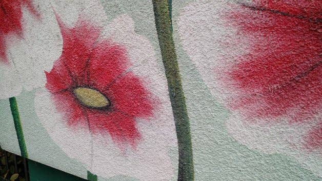 moto x 2014, moto x (2014), camera, photos, pictures, images