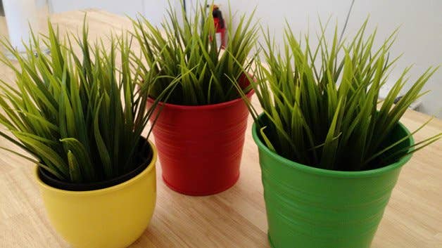 moto x 2014, moto x (2014), camera, photos, pictures, images