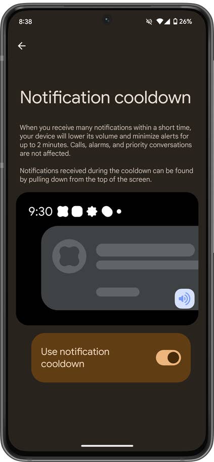 Notification cooldown settings on Android 16 developer preview.