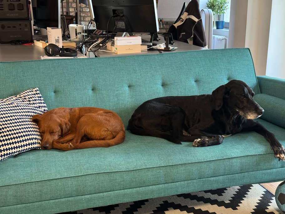 Apple iPhone 15 Pro review image