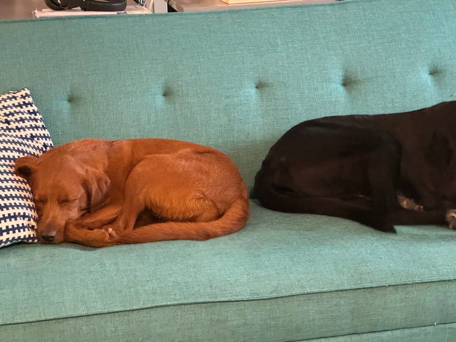 Apple iPhone 15 Pro review image