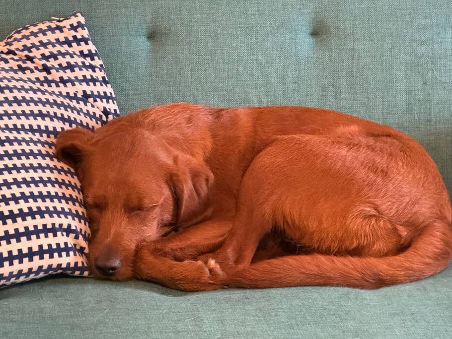 Apple iPhone 15 Pro review image