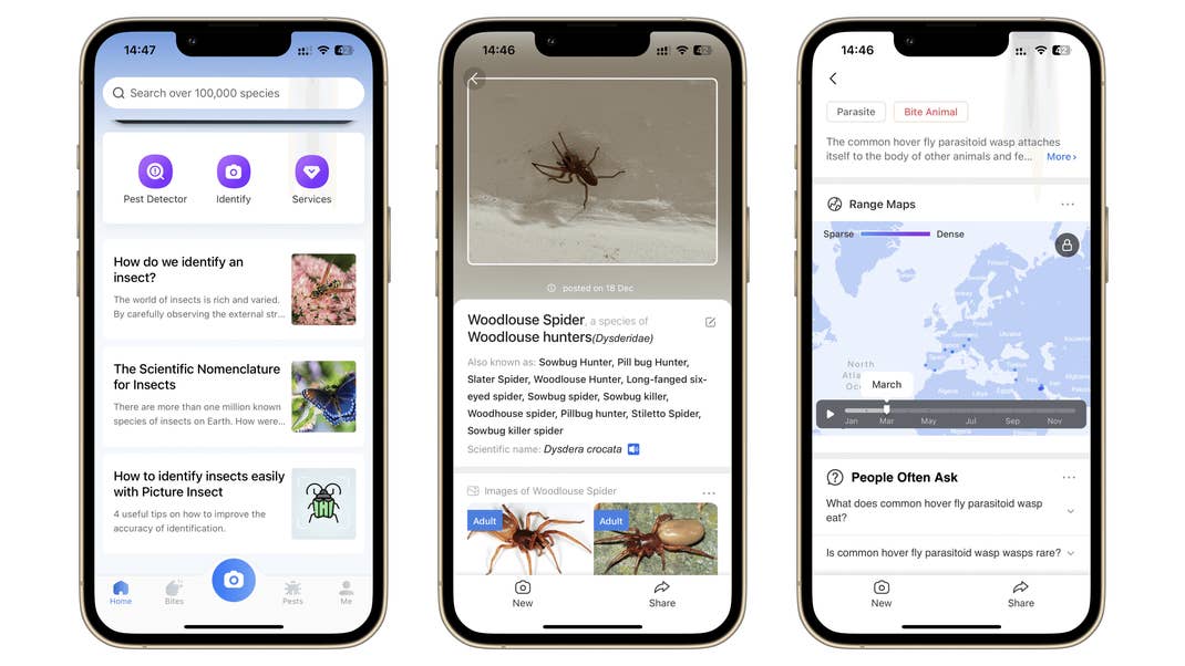 PictureInsect Screenshots