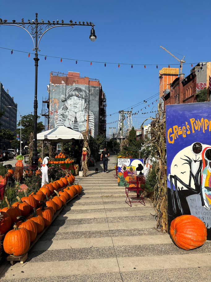 Apple iPhone 15 camera samples