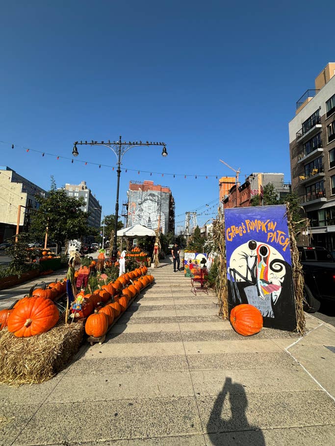 Apple iPhone 15 camera samples