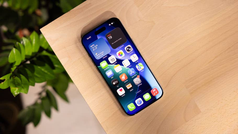 An Apple iPhone on a wooden surface with a green plant in the background and a colorful app screen.
