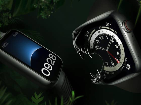 Fitness Trackers: Doomed by Their Own Smartwatch Aspirations?