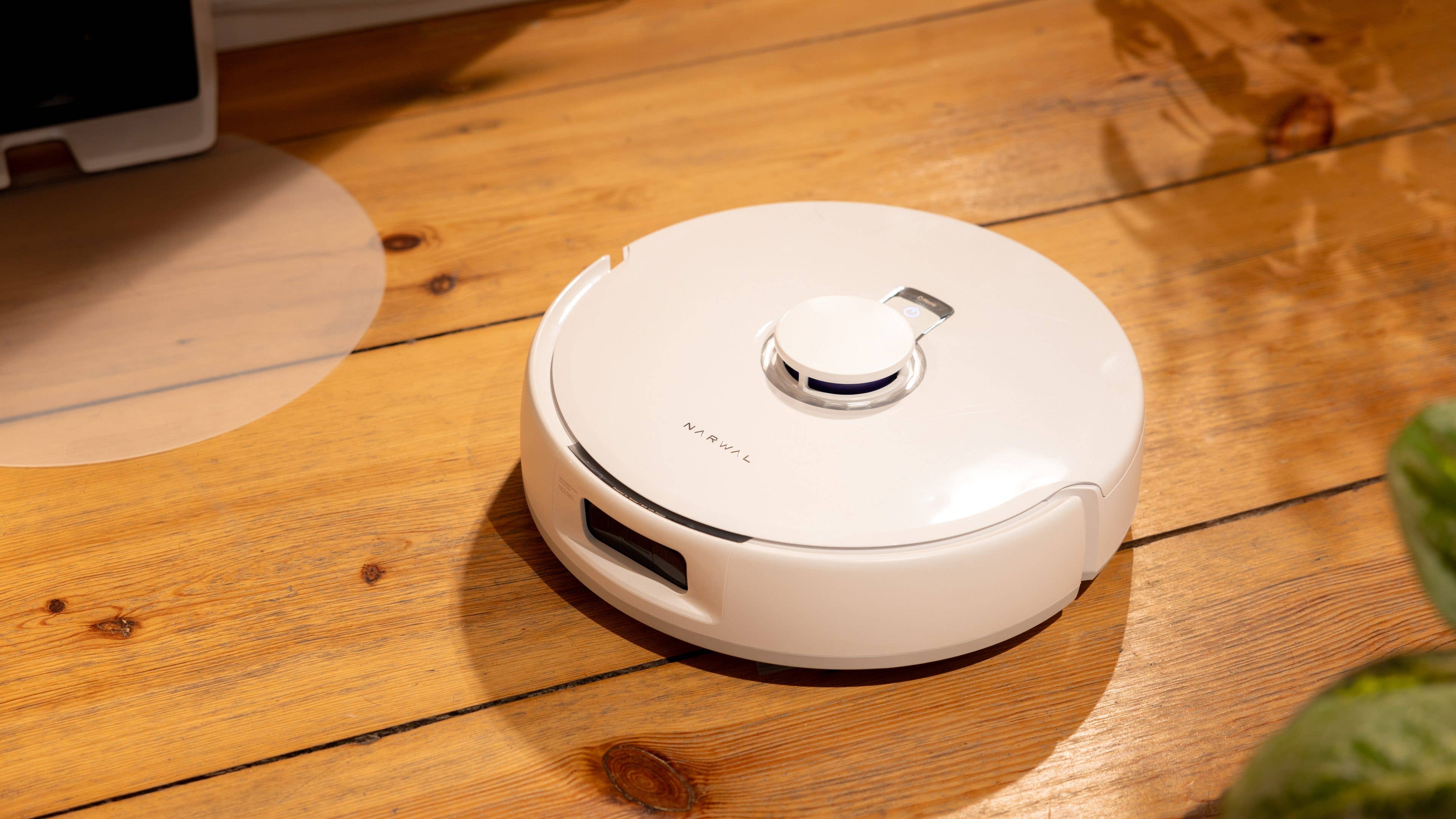 The Freo X Plus is never bothered by pet hair.