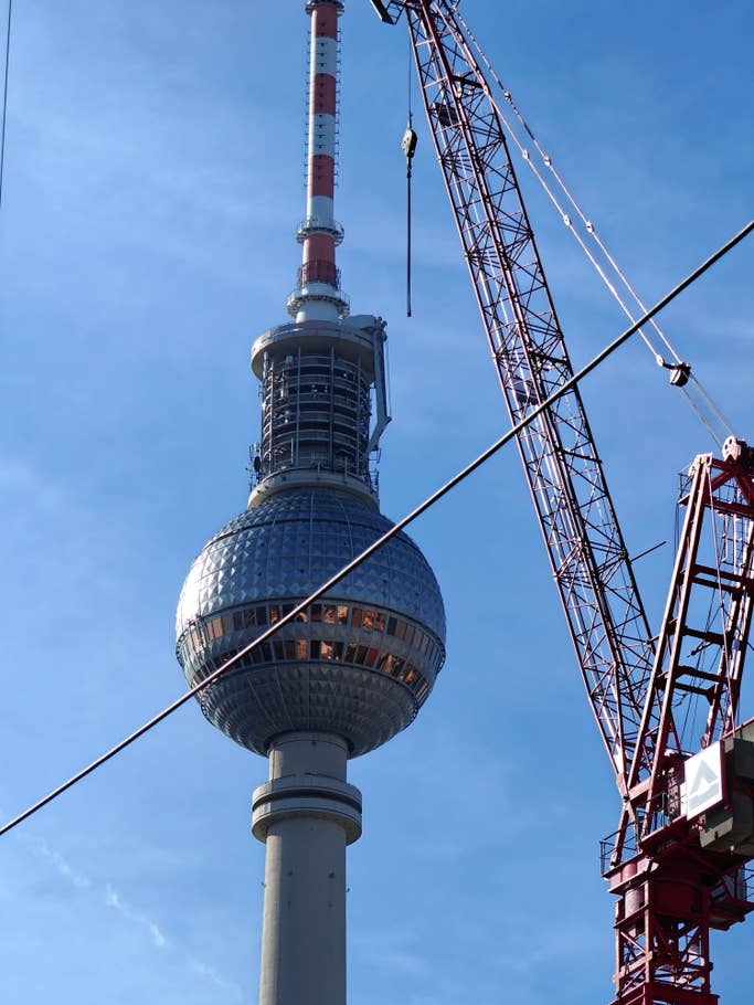 OnePlus Open camera test during the day