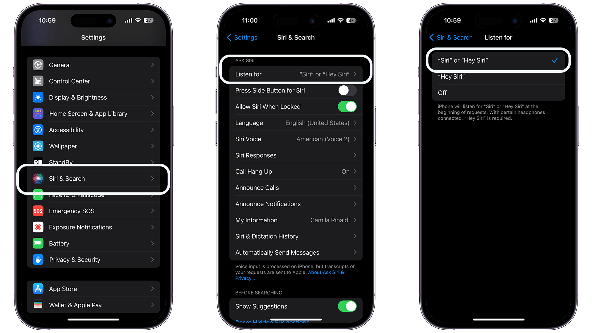 Screenshots showing how to set up Siri Screenshots showing how to set up Siri