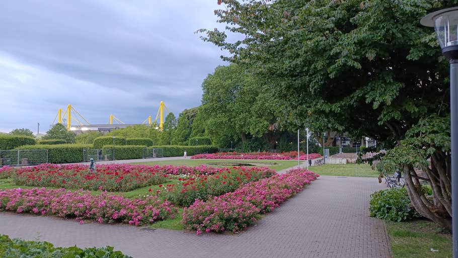 Poco M6 Pro sample photo