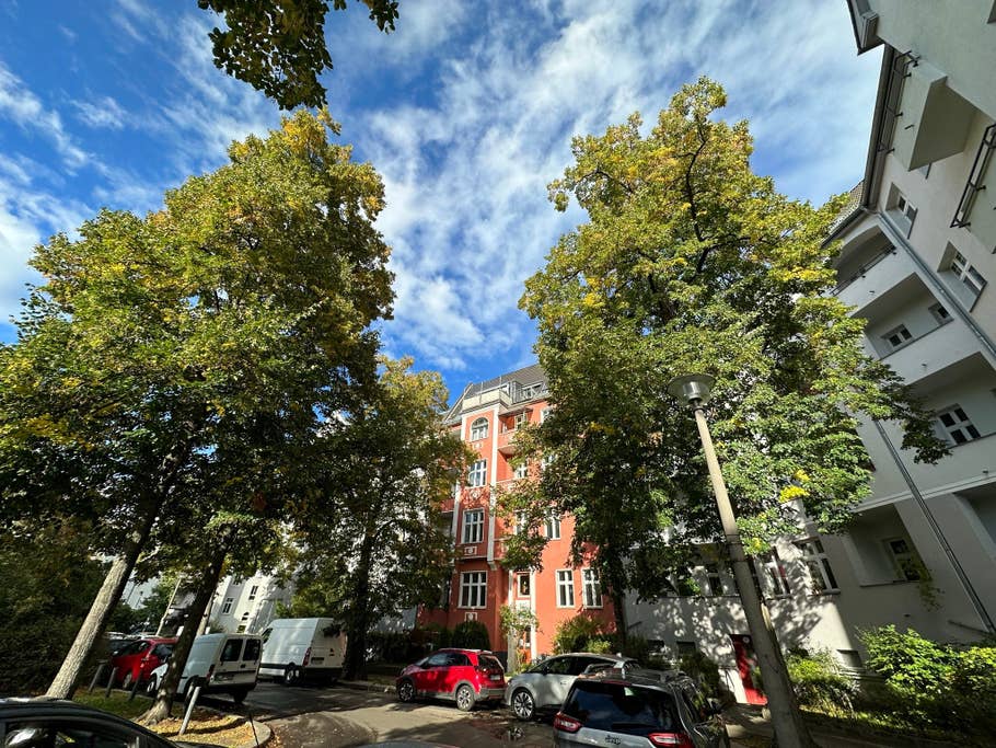 Apple iPhone 14 Pro Max sample photo