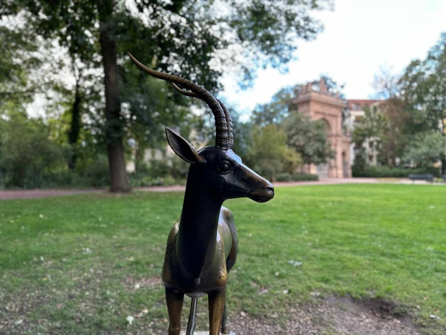 Apple iPhone 14 Pro Max sample photo