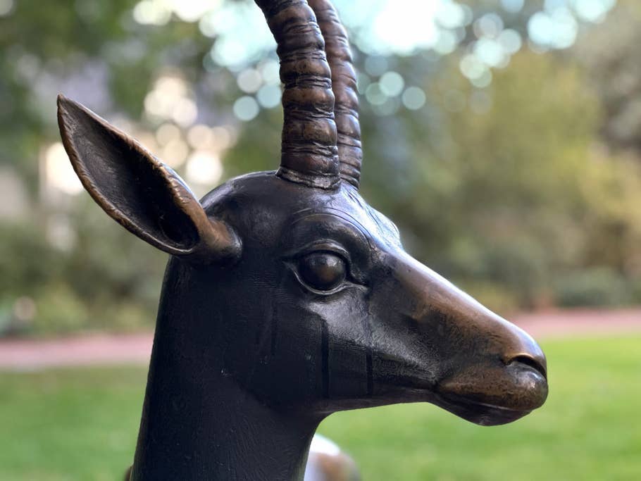 Apple iPhone 14 Pro Max sample photo