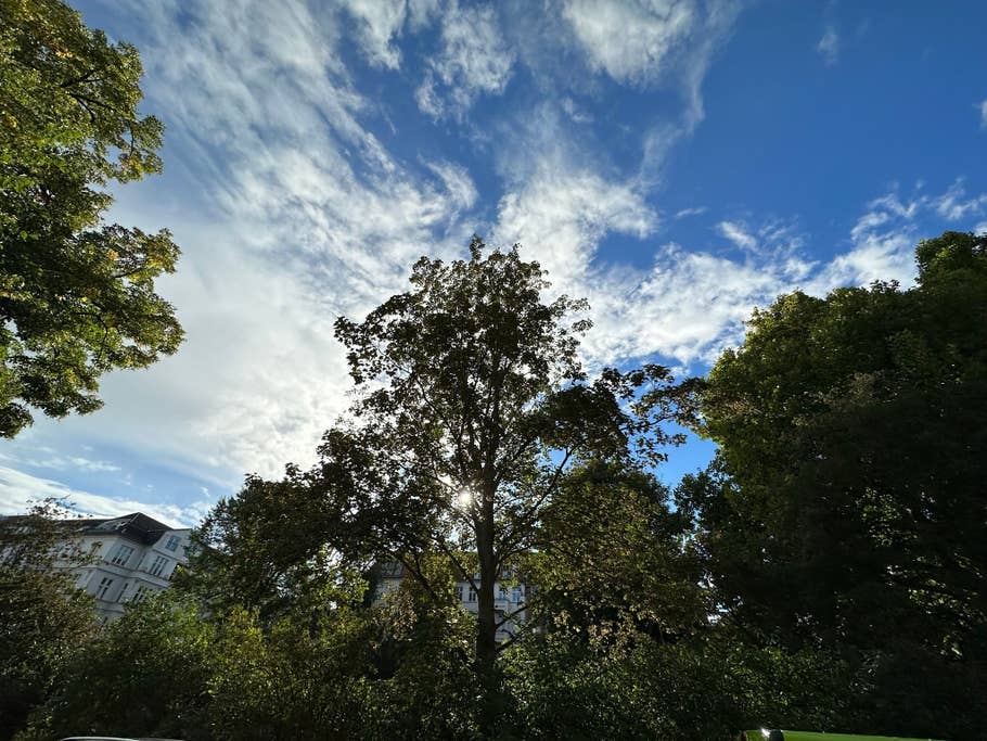 Apple iPhone 14 Pro Max sample photo