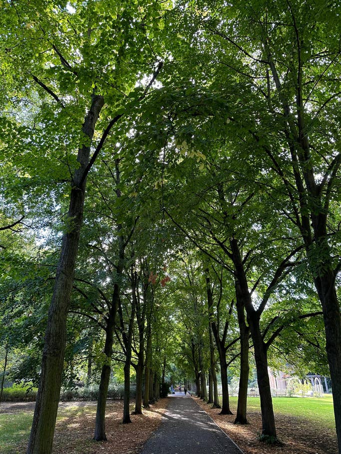 Apple iPhone 14 Pro Max sample photo