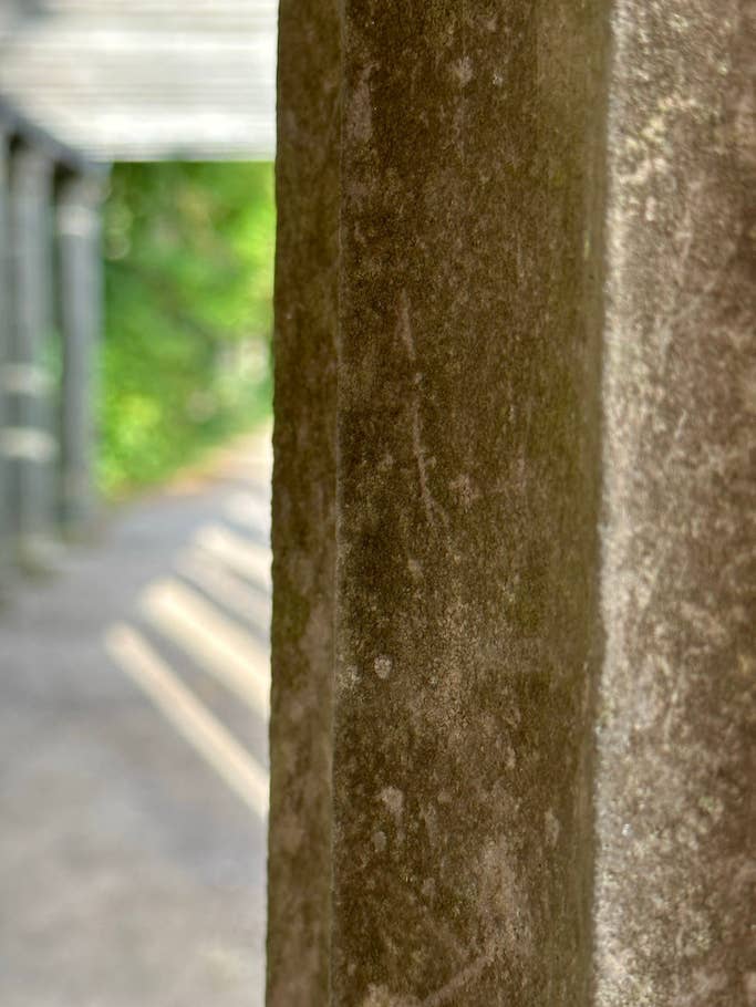 Apple iPhone 14 Pro Max sample photo