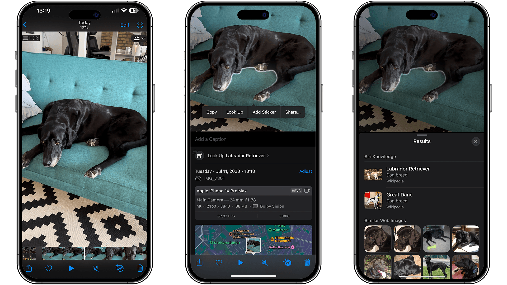 Screenshots of an image of a dog in the couch