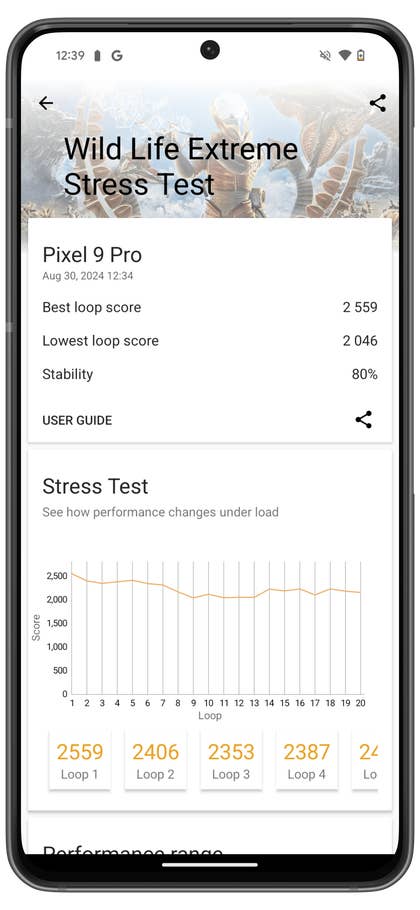 Screenshot from the Google Pixel 9 Pro benchmark results