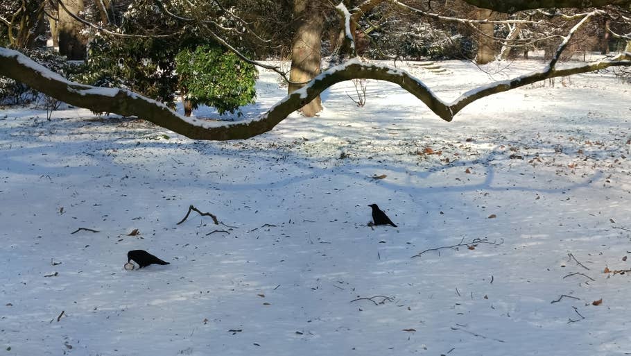 Xiaomi Redmi Note 13 5G photo gallery