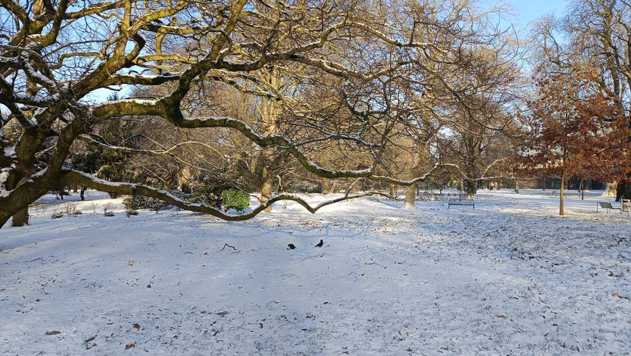 Xiaomi Redmi Note 13 5G photo gallery