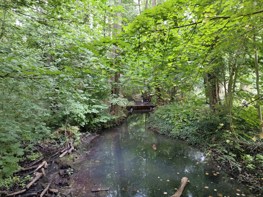 Nothing Phone (1) sample photo