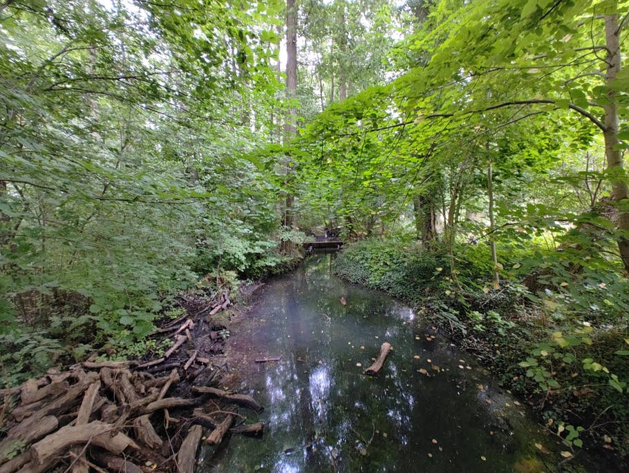 Nothing Phone (1) sample photo