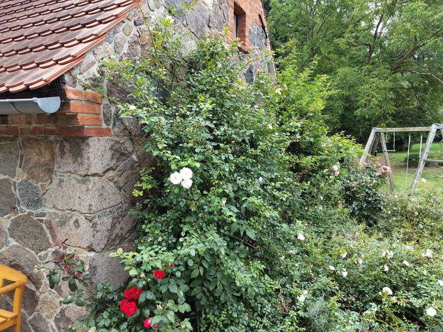 Nothing Phone (1) sample photo