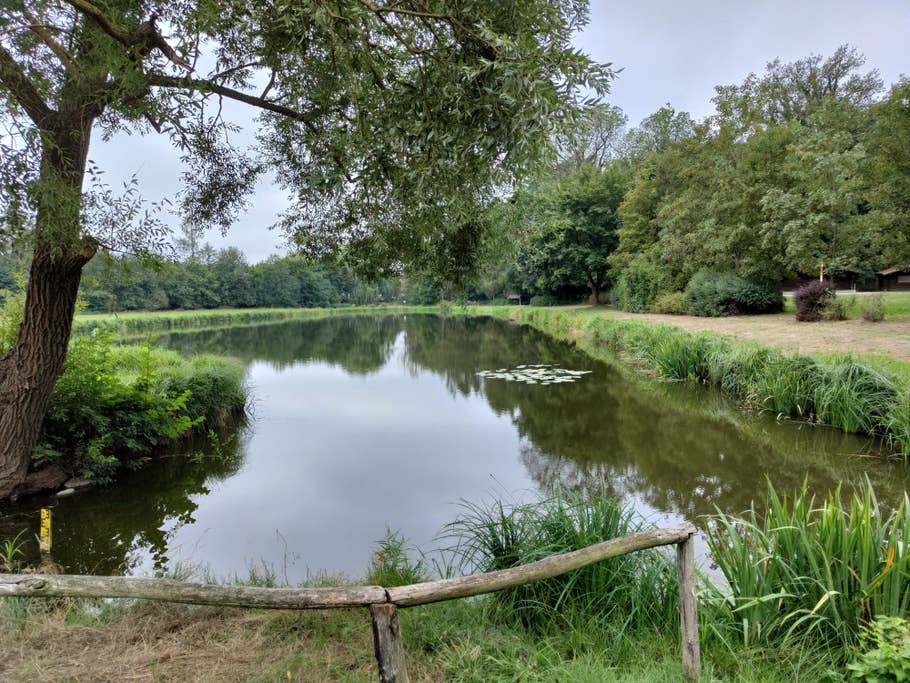 Nothing Phone (1) sample photo