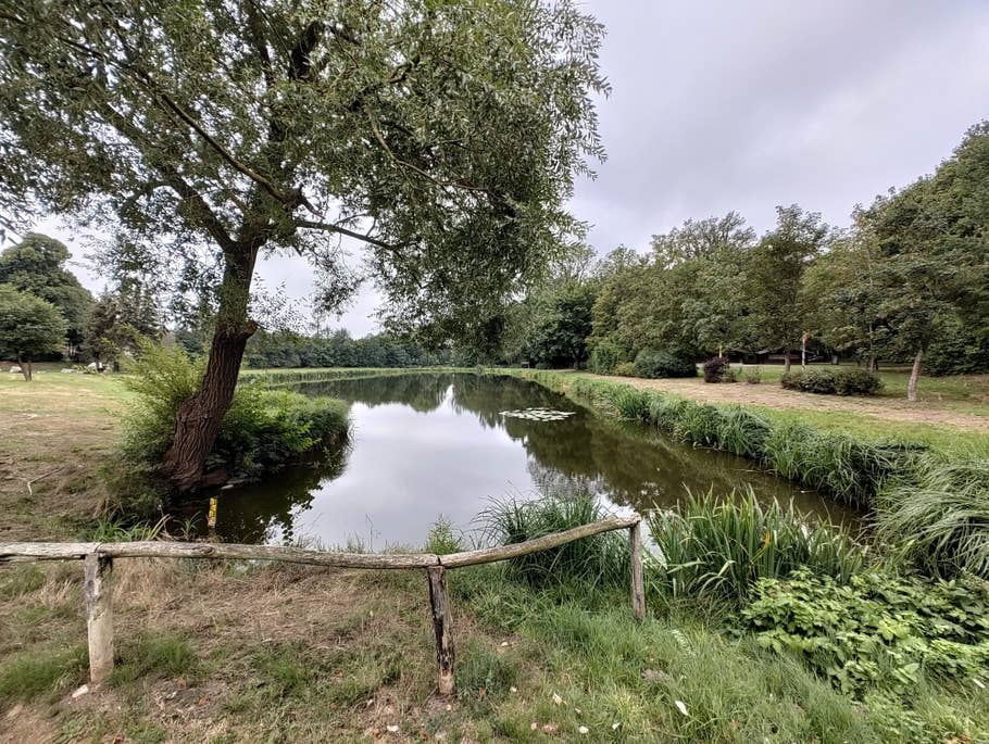 Nothing Phone (1) sample photo