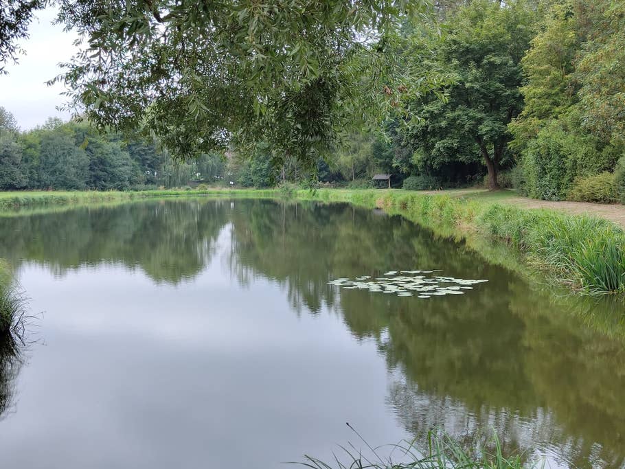 Nothing Phone (1) sample photo