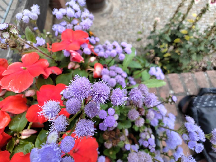 Nothing Phone (1) sample photo