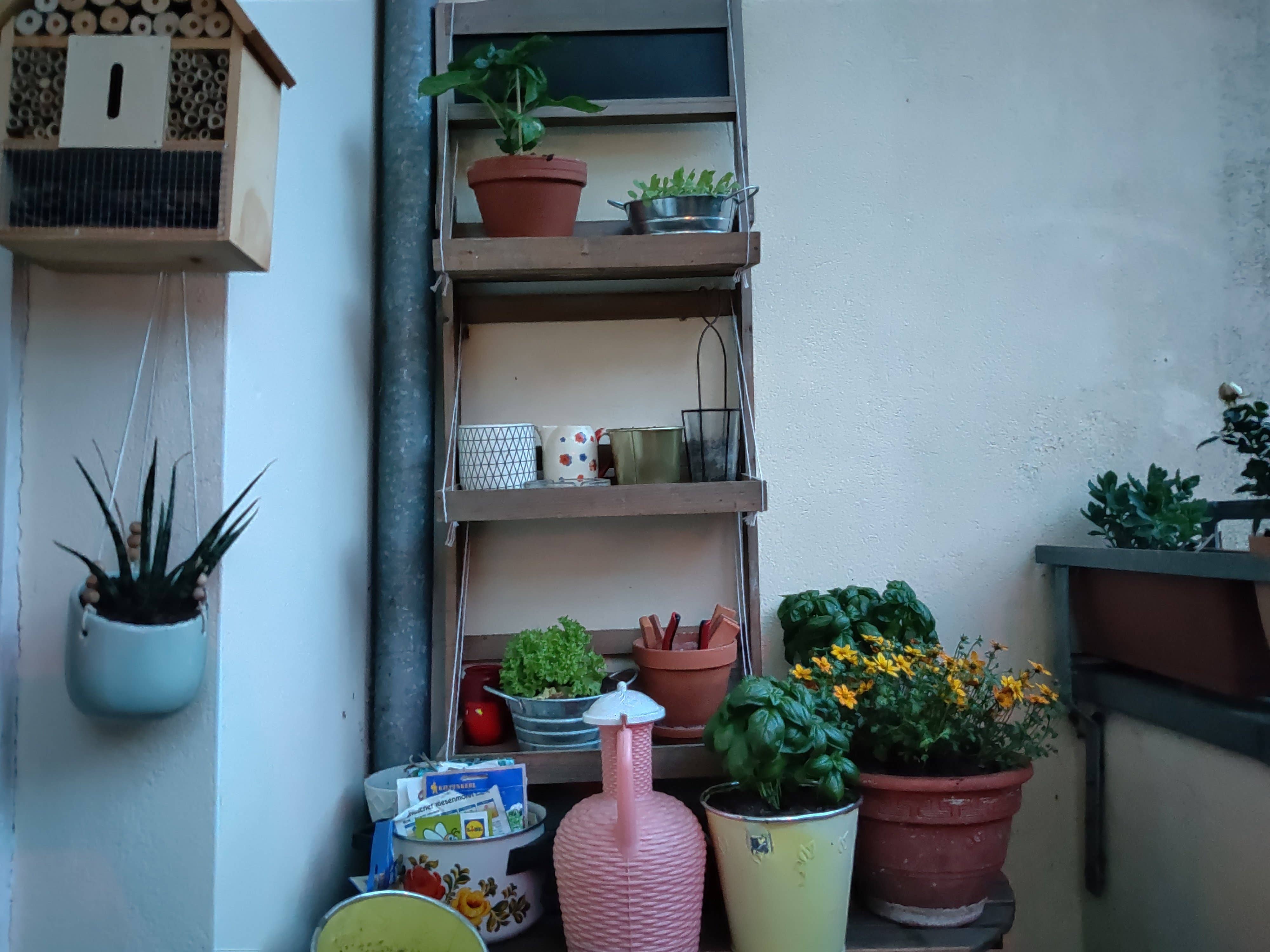 oneplus 7 test picture nightmode