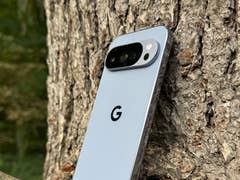 A Google Pixel 10 Pro smartphone resting against a tree trunk.