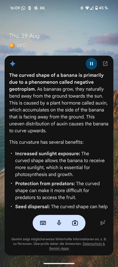 Google Pixel 9 screenshot