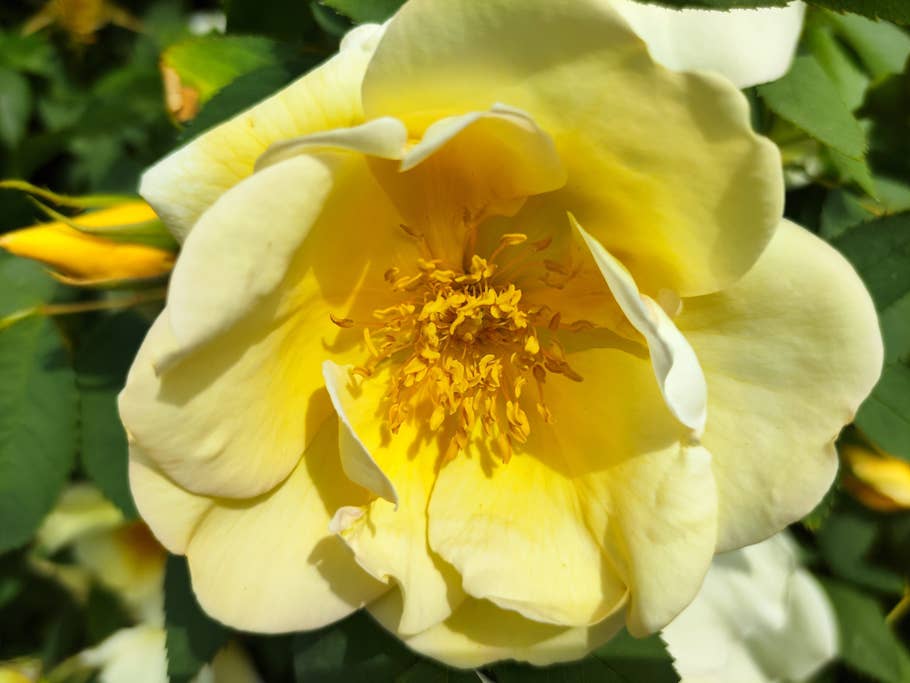 Poco F4 GT review photo gallery