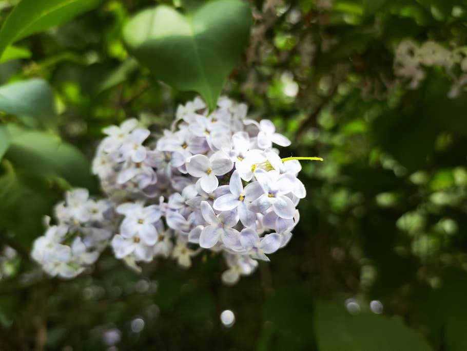 Poco F4 GT review photo gallery