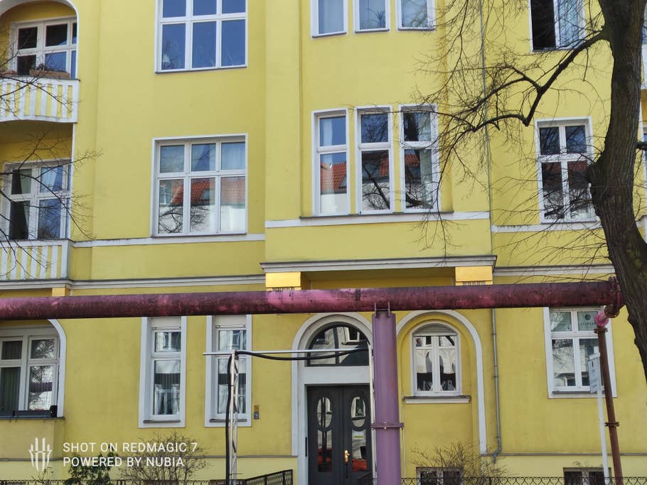 redmagic-7-review-picture