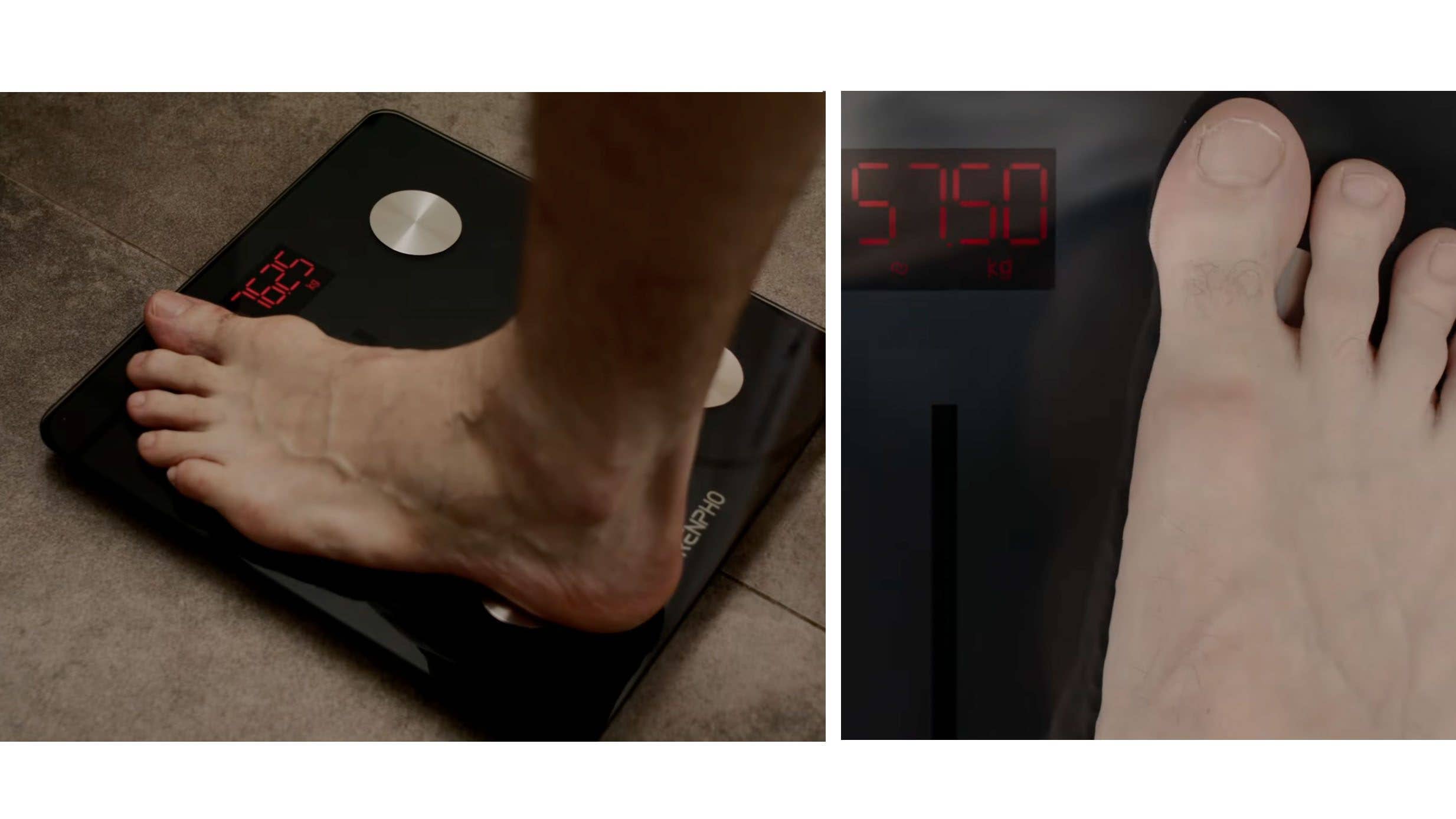 Cheap and functional - Renpho does the bare basics well.