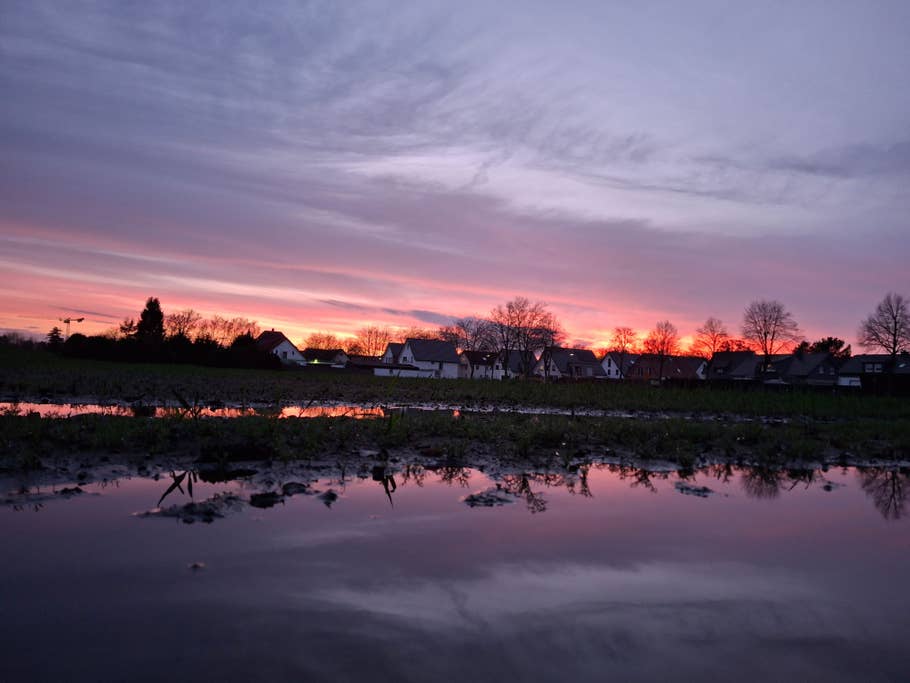 Samung Galaxy A35 camera test