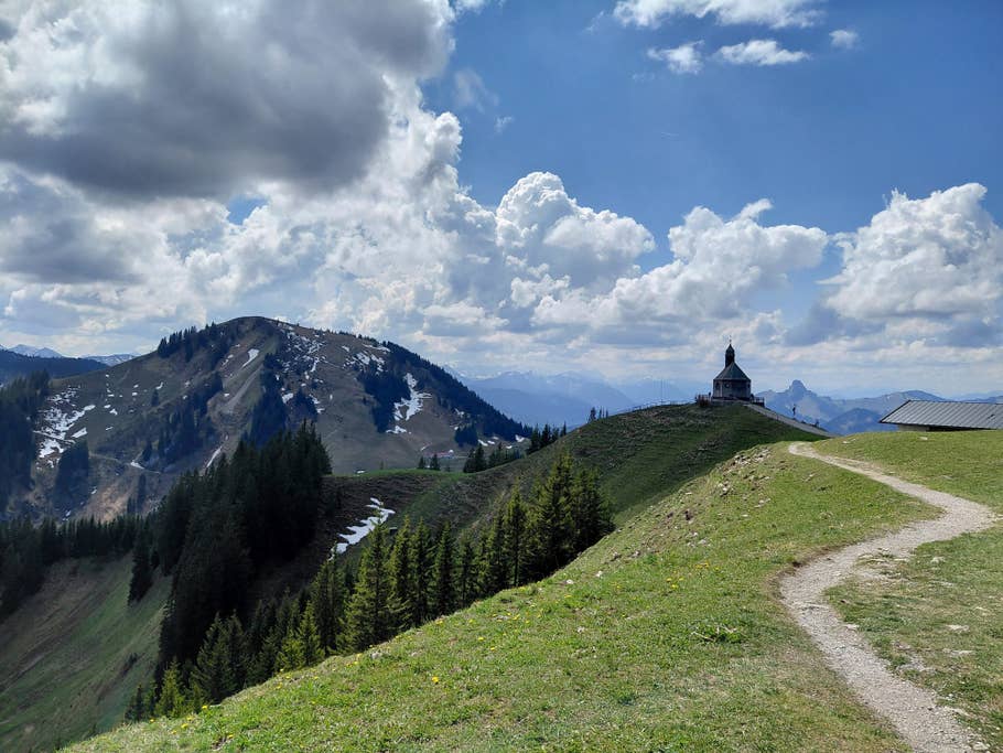 Samsung Galaxy A36 sample photo