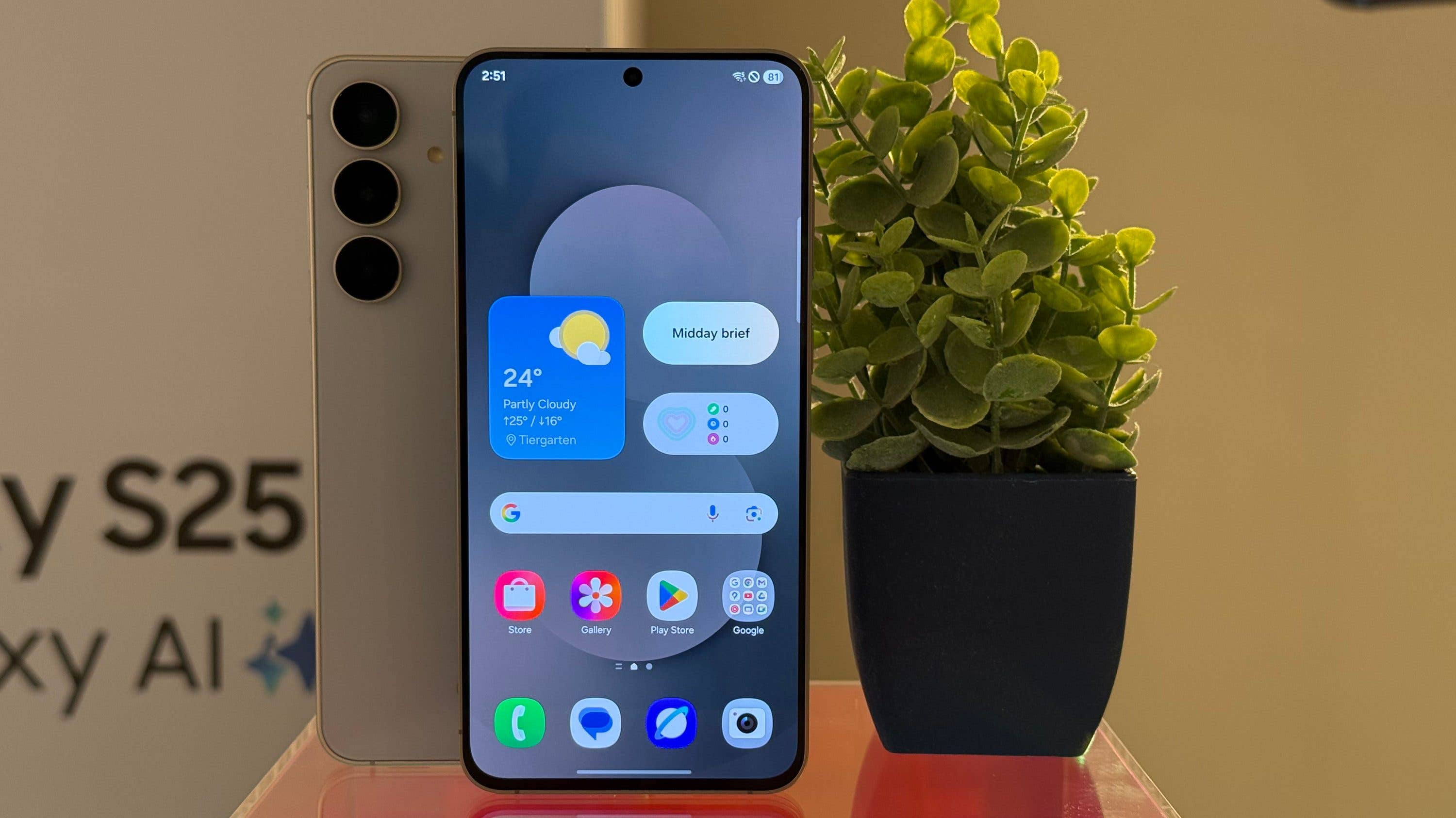 Samsung Galaxy S25 FE smartphone displayed with a plant beside it.