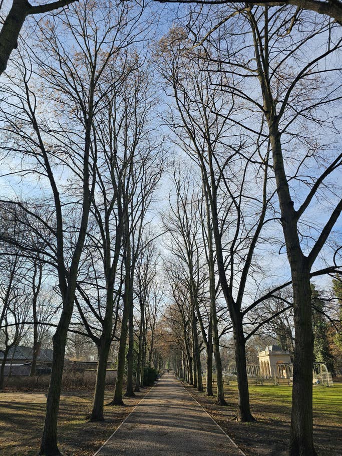 Galaxy S23 Ultra camera test