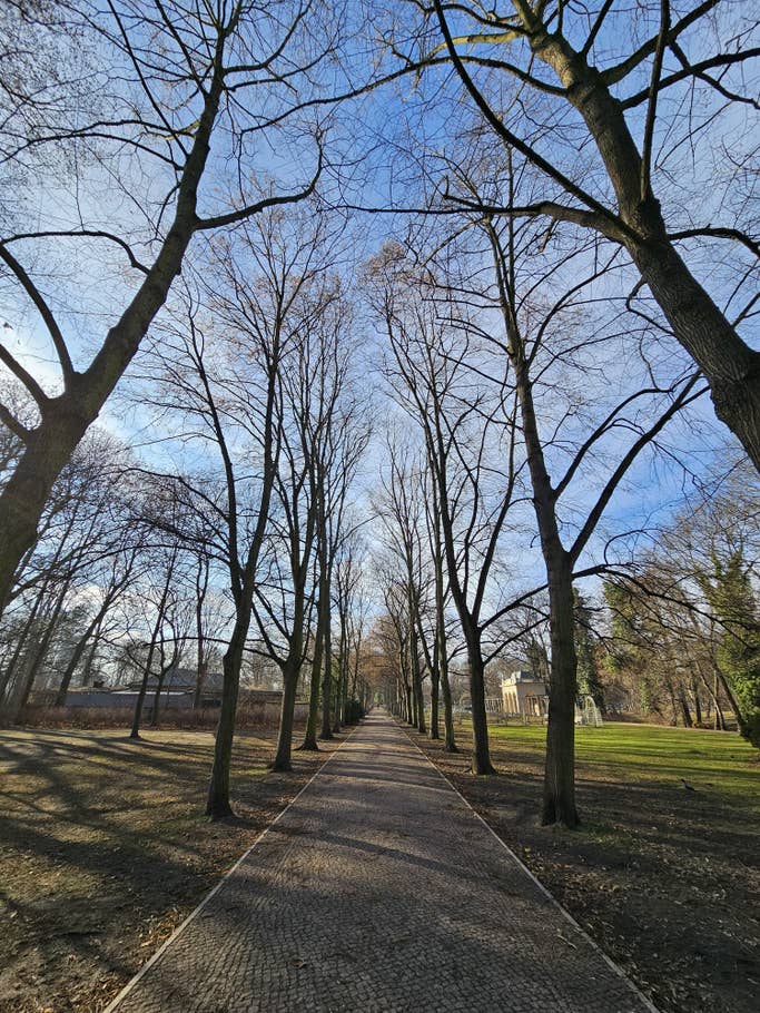 Galaxy S23 Ultra camera test