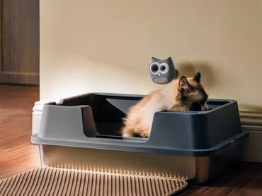 SiiPet LitterLens smart AI camera for cats