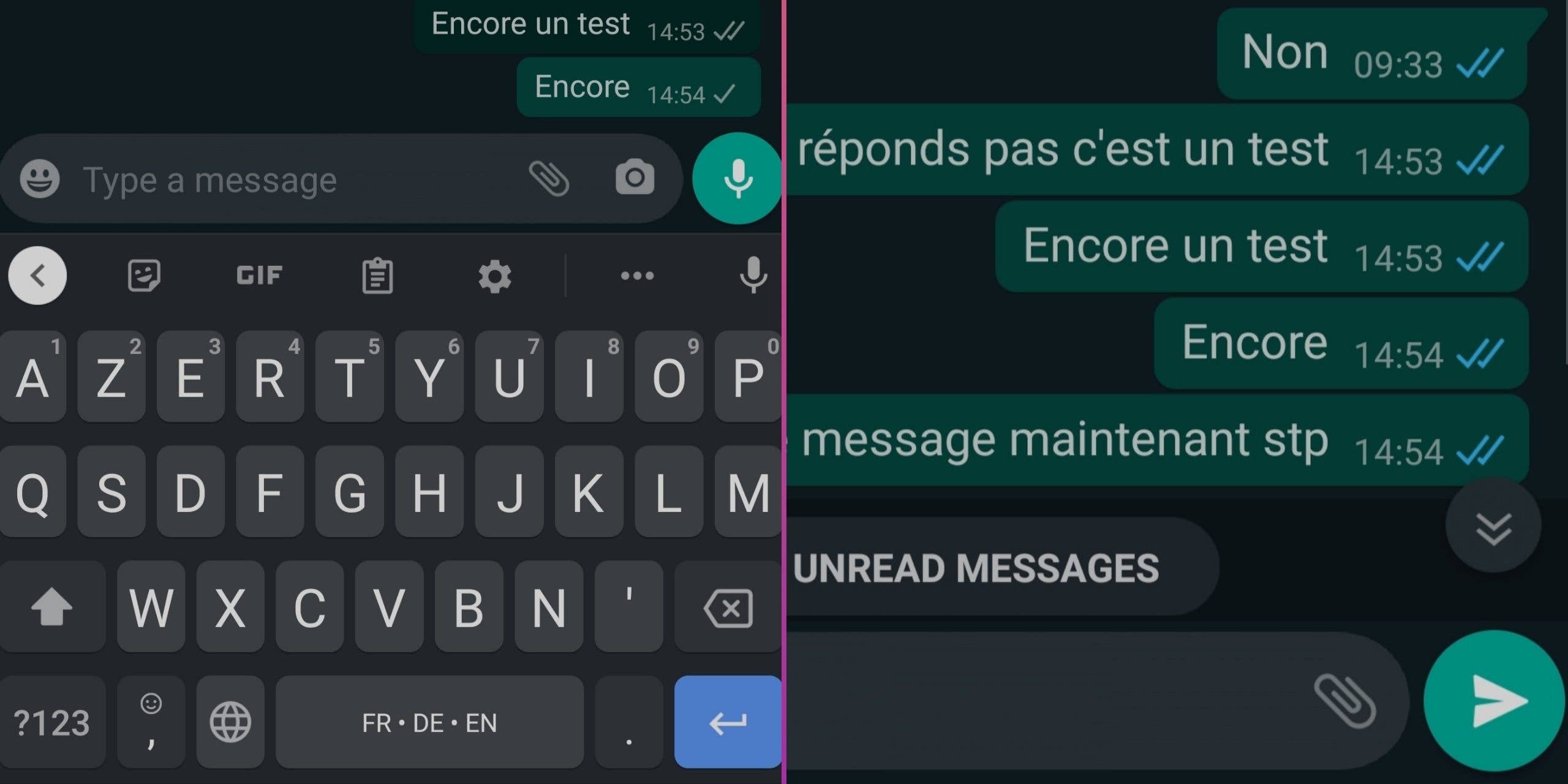 WhatsApp chat with blue ticks indicating message read status, showing multiple test messages.