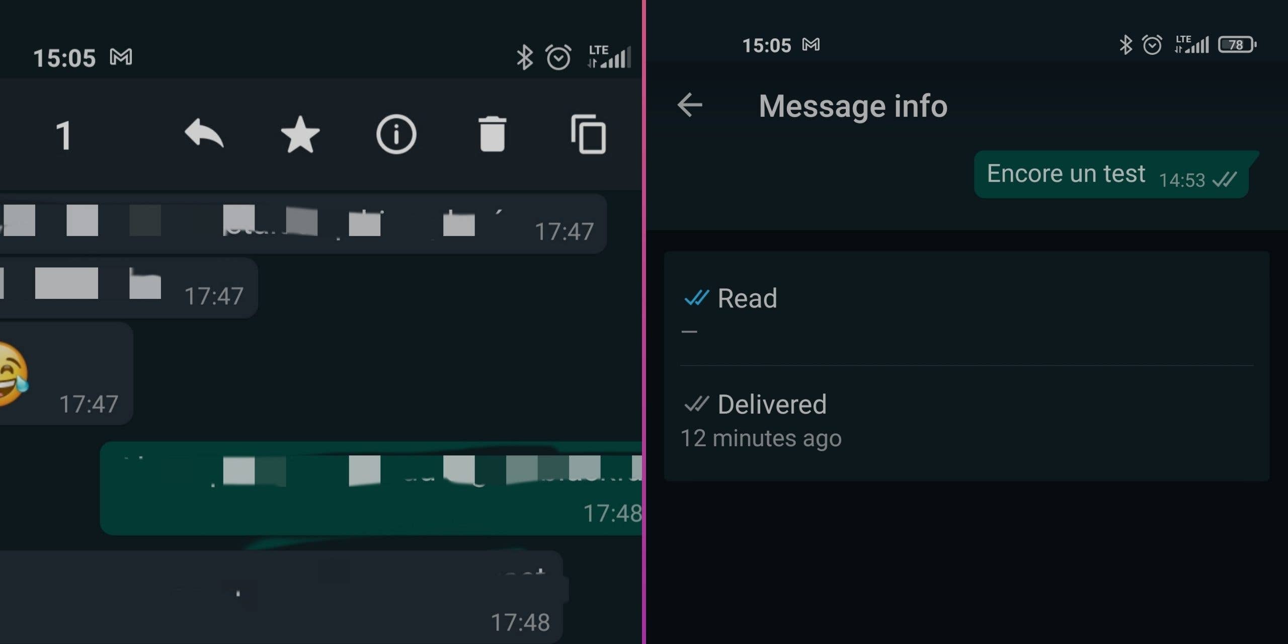 WhatsApp message interface showing a message marked as delivered and read.
