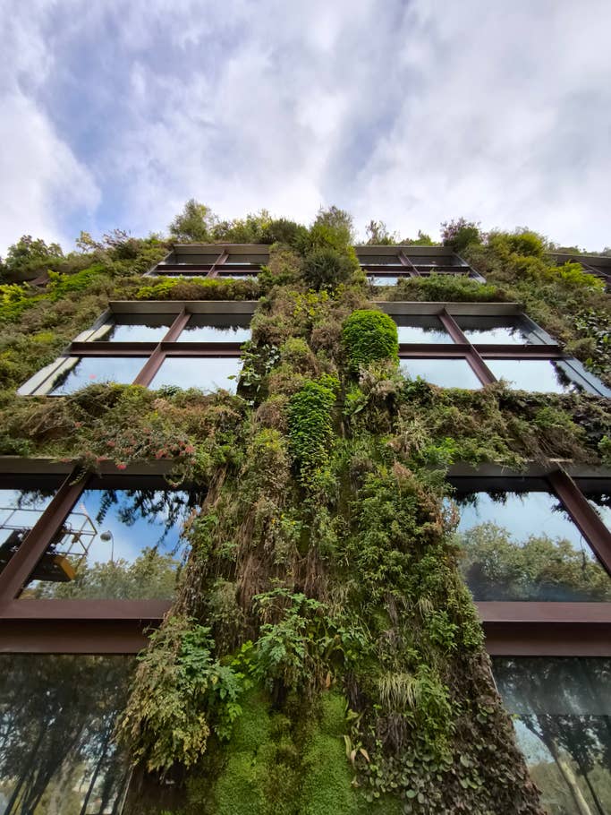 Xiaomi 13T Pro photo sample 27