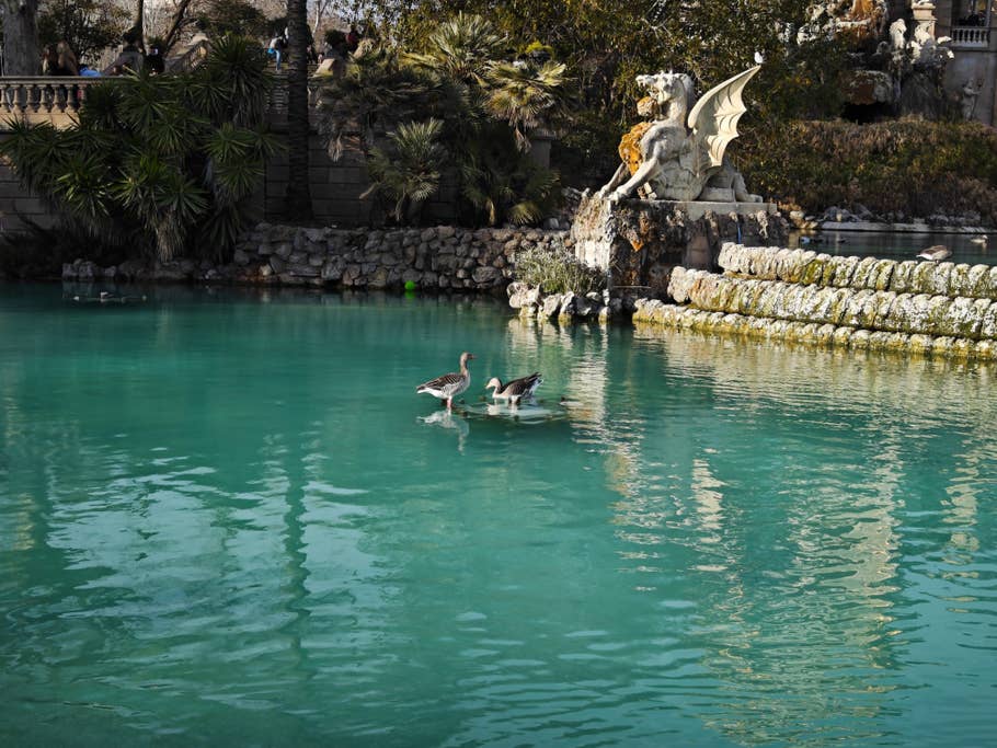 Testfoto mit dem Xiaomi 13 Pro