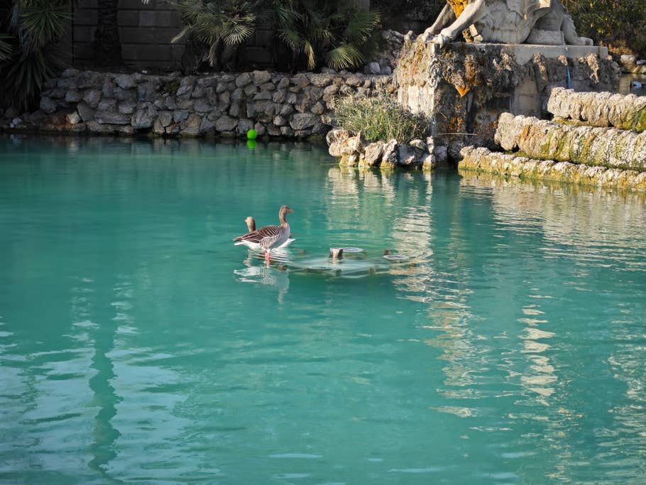 Testfoto mit dem Xiaomi 13 Pro